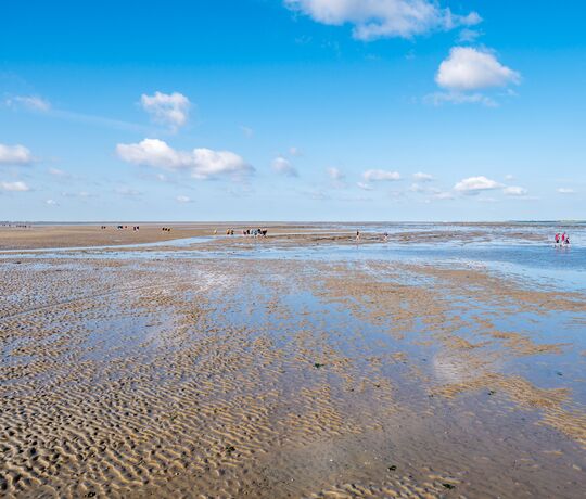 Vadehavet
