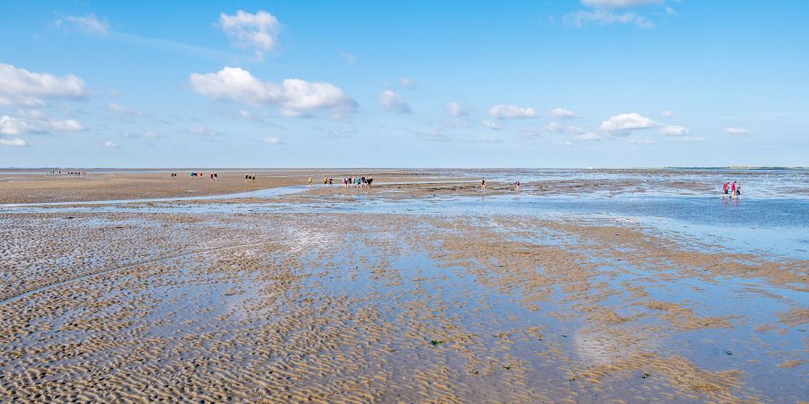 Vadehavet